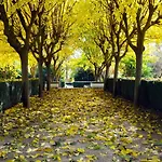 ホテル Boutique Molino Del Arco ロンダ