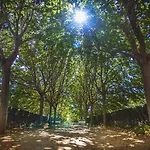 Boutique Molino Del Arco ホテル 4*