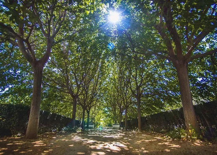 Boutique Molino Del Arco ホテル 4*