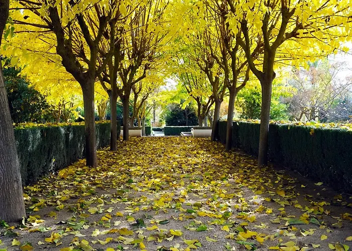 Hotel Boutique Molino Del Arco Ronda